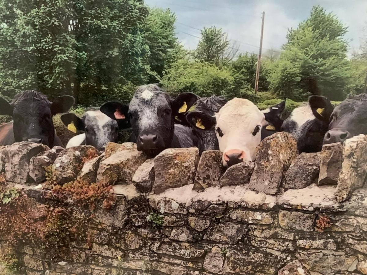Tytherington  The Milking Sheds 아파트 외부 사진